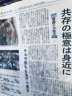 協調の方程式